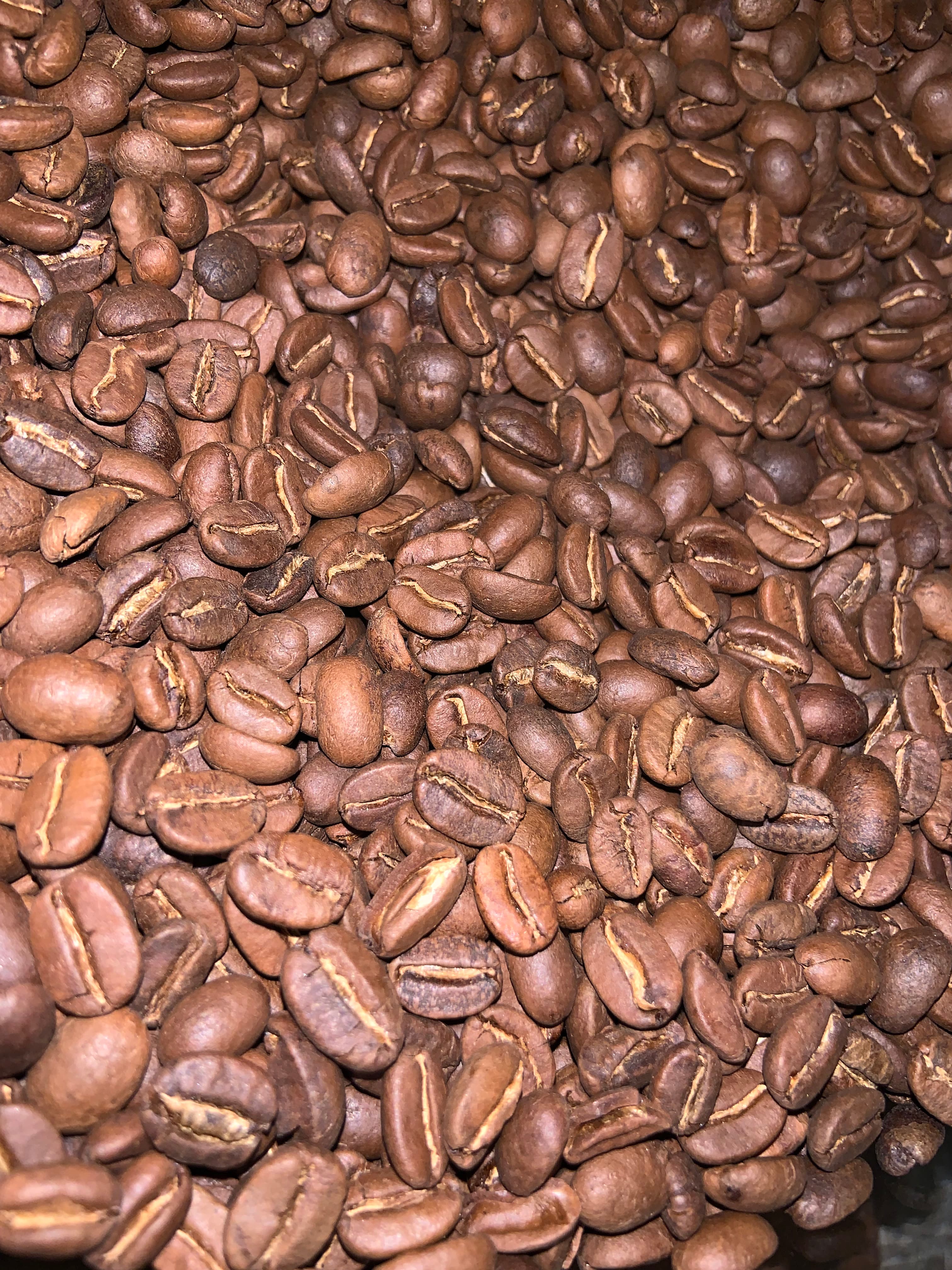SANGRAI — perjalanan kopi Pinto